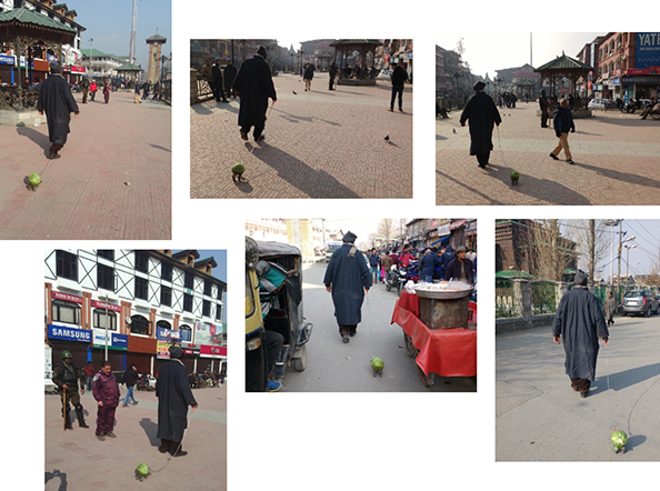 Kashmiri Cabbage Walker