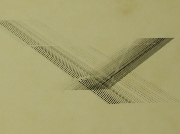 Nasreen Mohamedi