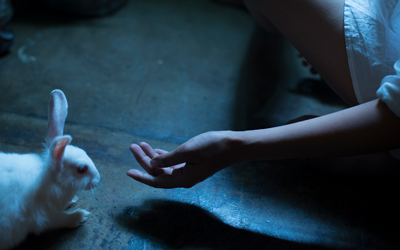 An Elegy For Ecology by Sharbendu De