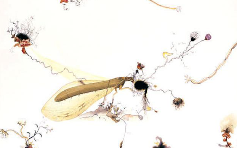 Shifting Terrains / Altered Realities