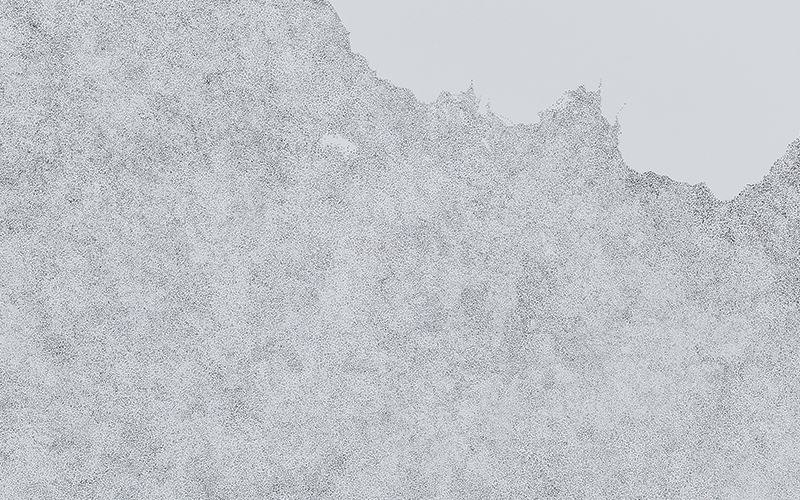 India Art Fair 2019 | Slow