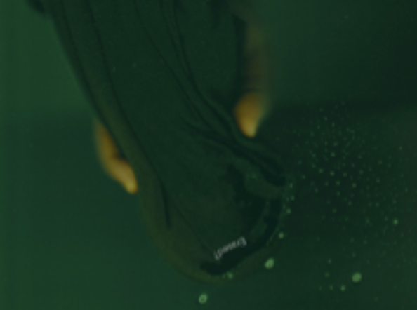 What Is Sin Who Is The Sinner? #1