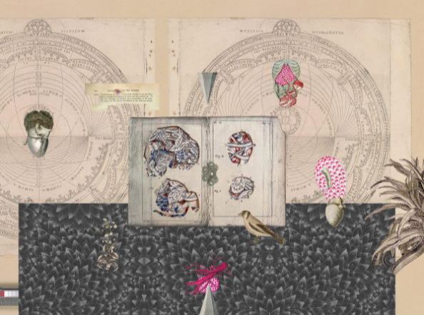 Search for the Empyrean #4