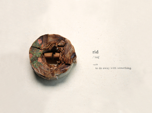 Disabled Dictionary: South Asia Edition 'र' (Speech therapist approved) - T8 Rid