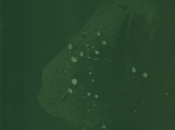 What Is Sin Who Is The Sinner? #2