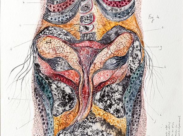 Uterine Swims / Unbound and Untethered