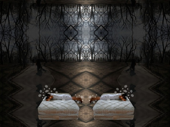 The Last of the Uncolonized Lands #1