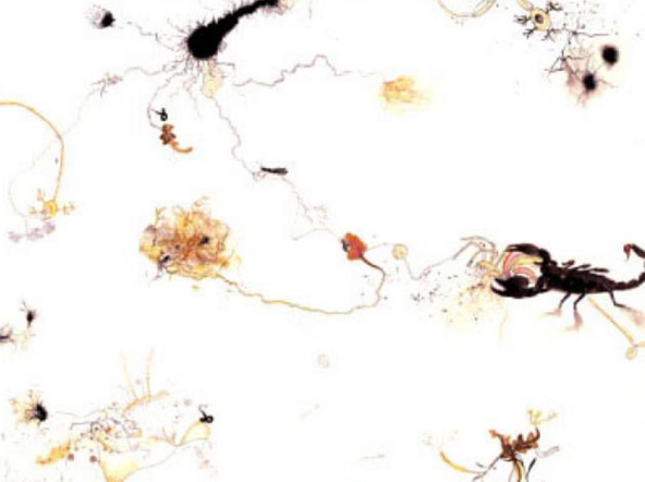 Growing from the Ground 2