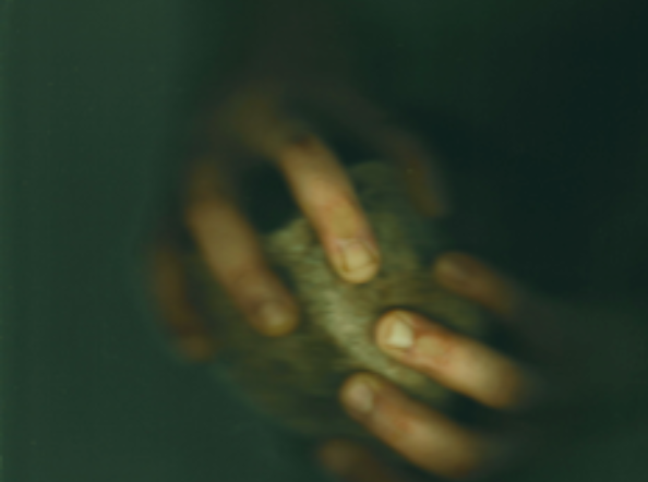 What Is Sin Who Is The Sinner? #8