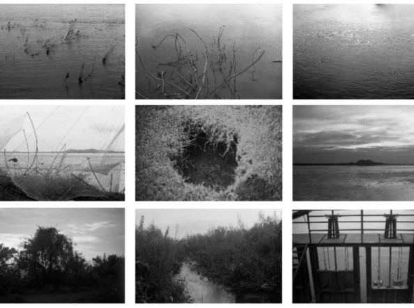 Whispers from the Riverside