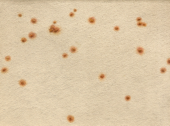 … Becoming Inferior