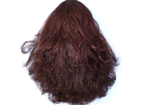 We Can’t be the Same