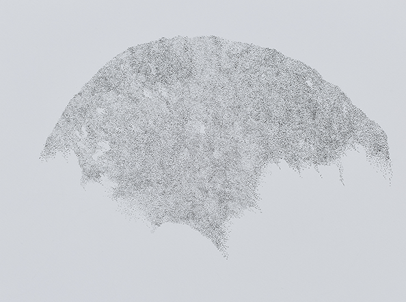 Murmuration (# 1) at 1,24,800