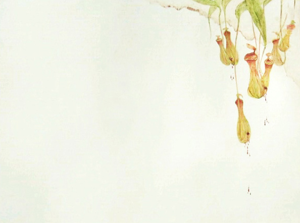 Failure of Unplanned