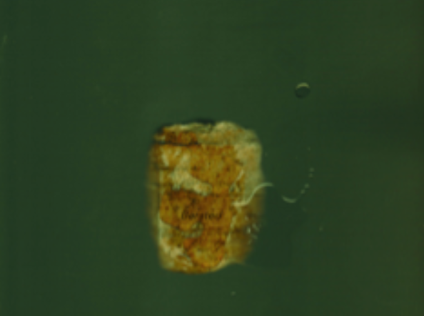 What Is Sin Who Is The Sinner? #3