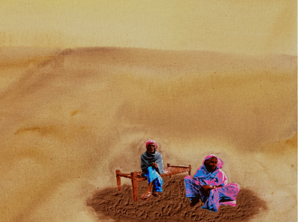 All our seeds are saved