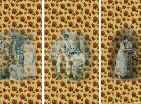 Rose Wallpaper Series