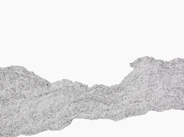 this mark repeatedly (16312)