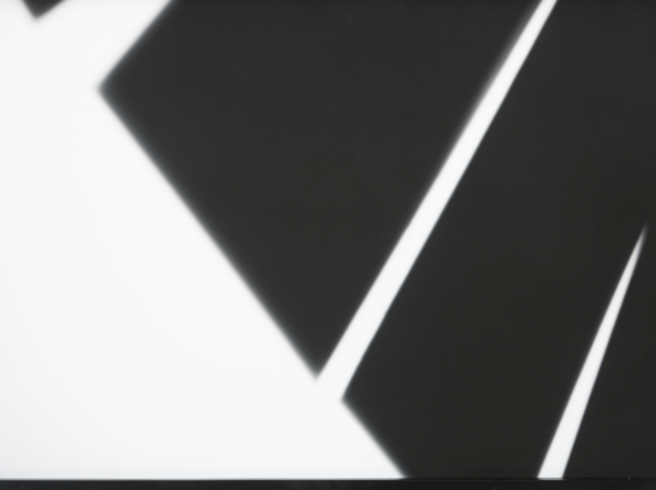 The Lines of Your Belief