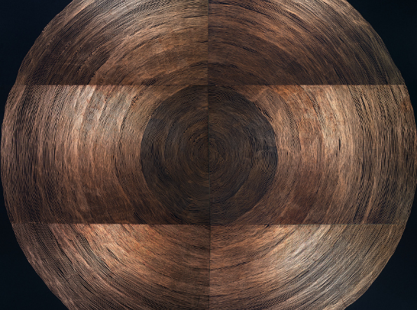 Time out of (skeletal) Joint: The Spineless don't Protest