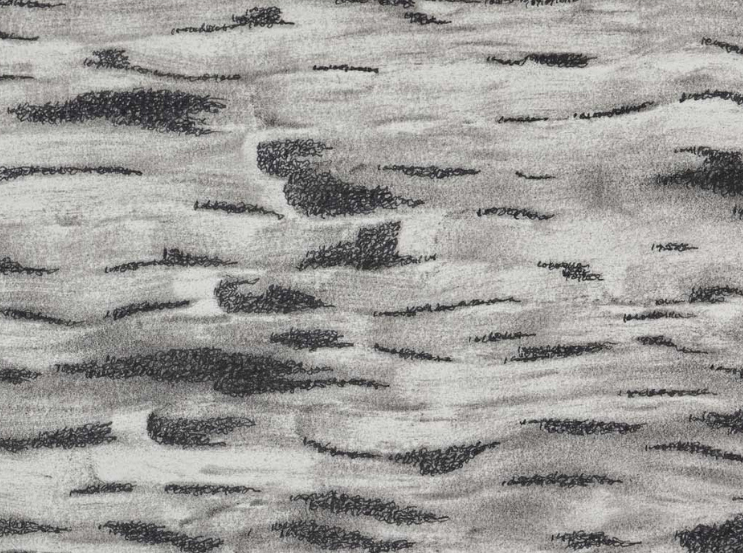 a day in making (Set 8)