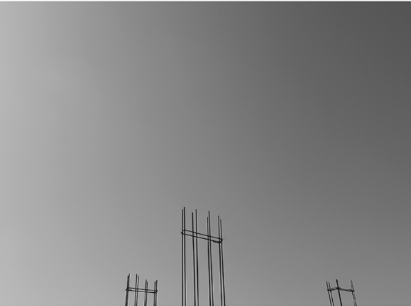 Excerpts from Studies for a Failed Monument