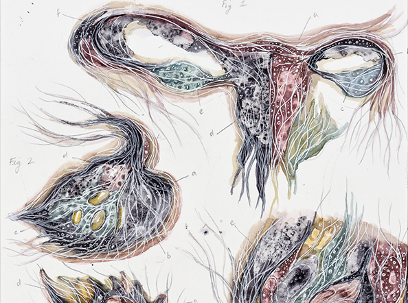 ​Cross sections, Uterine Swims 1.2 / Unbound and Untethered