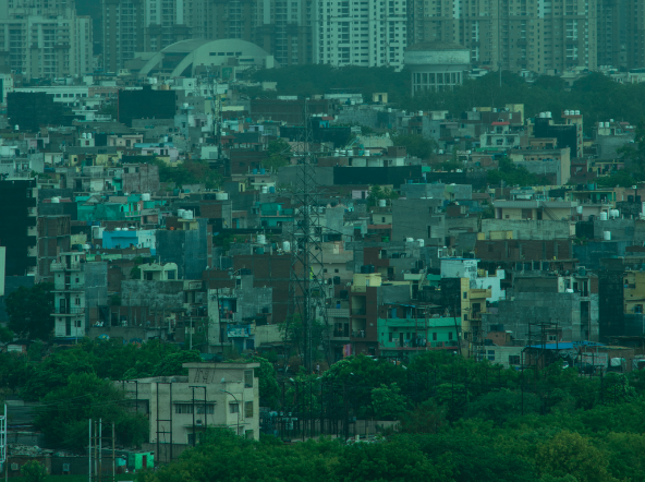 Noida NCR-I, An Elegy for Ecology