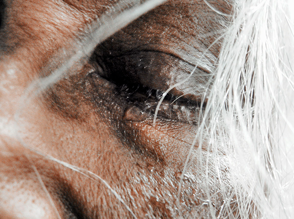 On Earth We Are Briefly Gorgeous