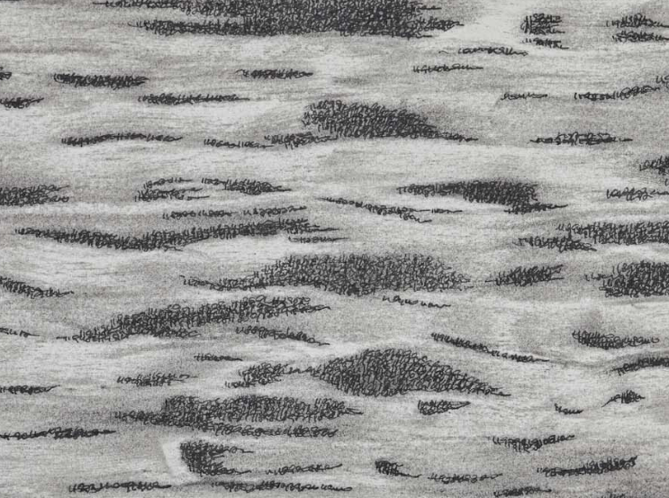 a day in making (Set 10)