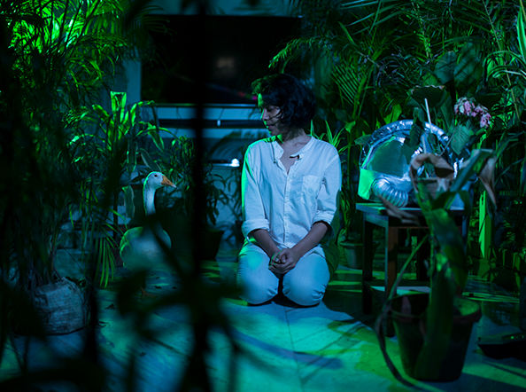 An Elegy for Ecology - 8 (Kolkata, West Bengal, India)