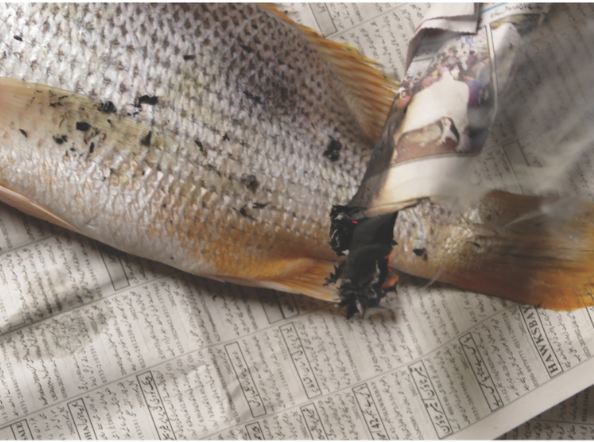 Rites Adrift (component 04)