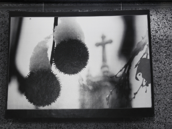 Till it did not Exist or Matter 2