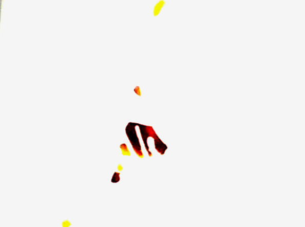 Bleached, Erased, Forgot