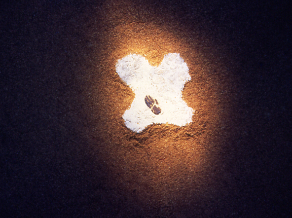 Enclosure squirrel's pawprint