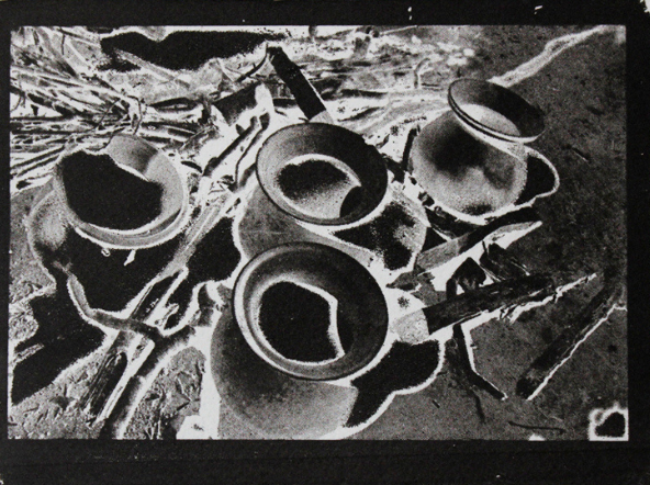 Field Note (stage 2)