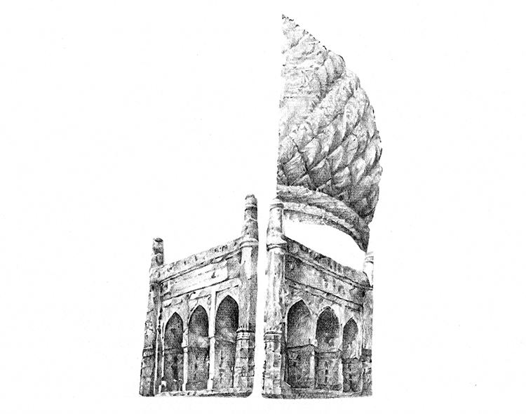 Hybrid Amalgamations, Delhi