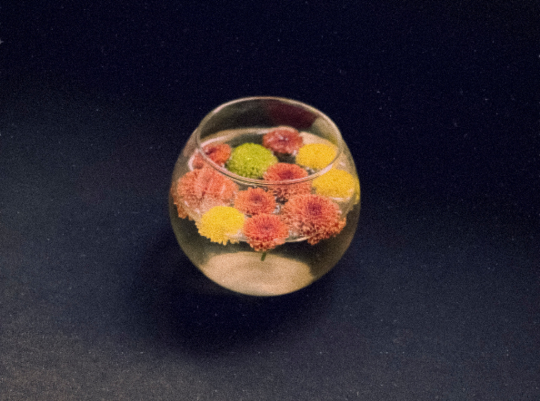 ‘In Plain Sight’