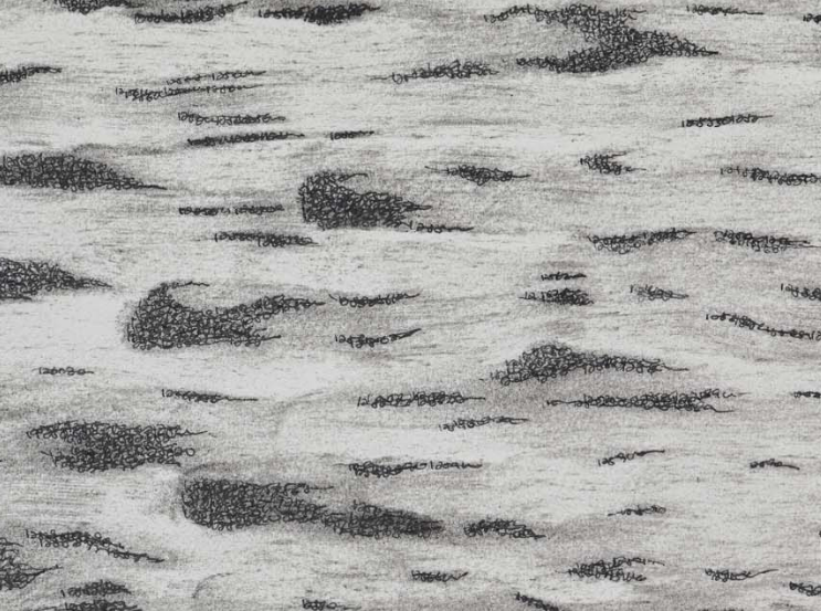 a day in making (Set 11)