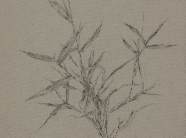 That Which Lies Beyond