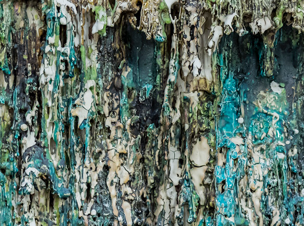 Study of Lost Forest