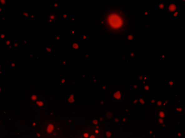 And I Didn’t See it