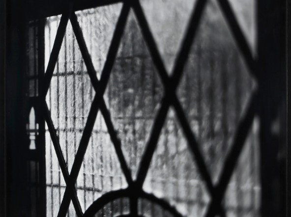 Wish You were Real 2