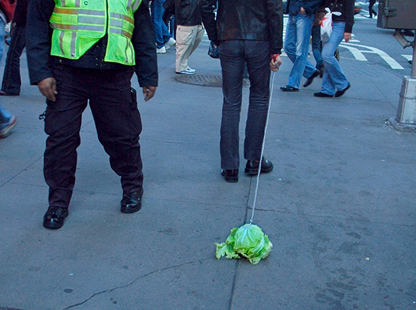 Diary of a Chinese Cabbage Walker