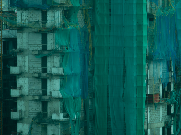 Noida NCR-II, An Elegy for Ecology