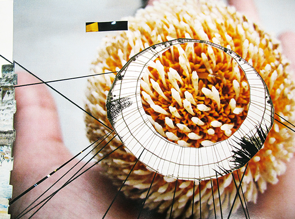 This Place, that Place, Displace – 06