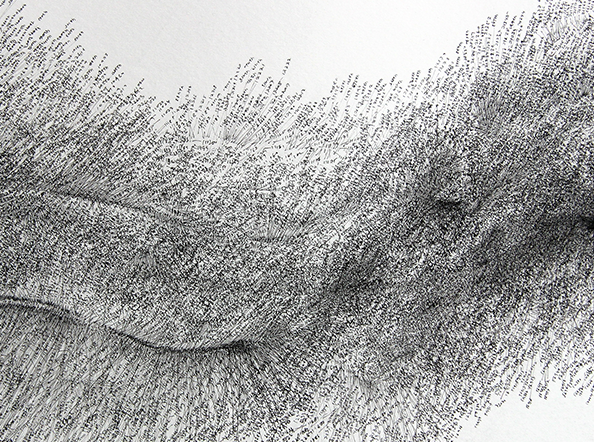 An Investigation of a Lyrical Movement by the Self (80330)