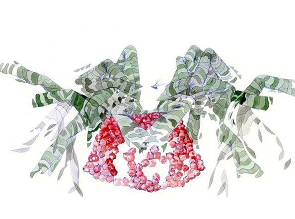 Spidersoldiers (with Pomegranate Hill)