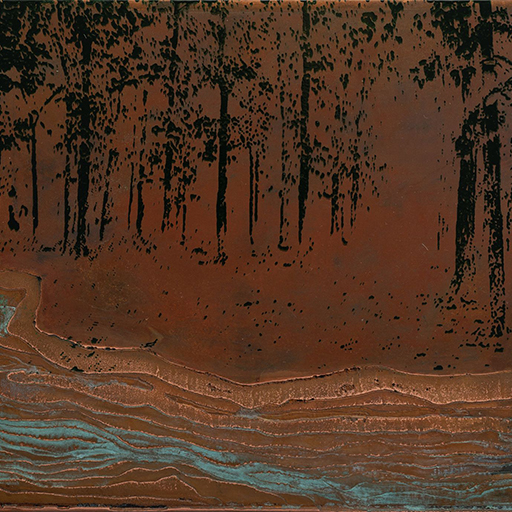 There was a huge saal forest