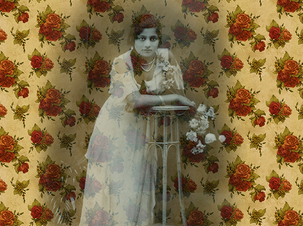 Rose Wallpaper Series III